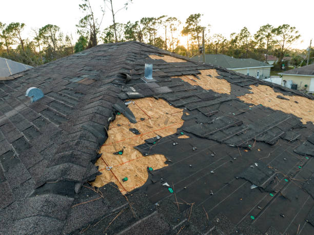 Roof Coating Services in Hayden, ID